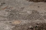 02968 ostia - regio v - insula v - terme dell'invidioso (v,v,2) - raum d - frigidarium - mosaik - hippocamp - suedseite - detail - e 2016.jpg